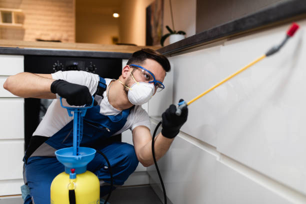 Best Best Pest Control Companies  in Parsons, WV