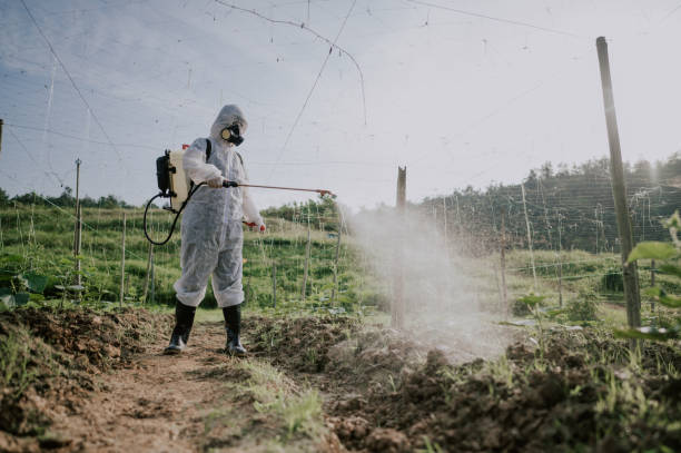 Best Pest Control Cost  in Parsons, WV