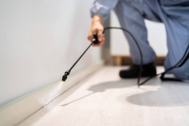 Best Pest Removal Services  in Parsons, WV