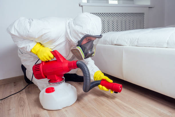 Best Insect Control  in Parsons, WV