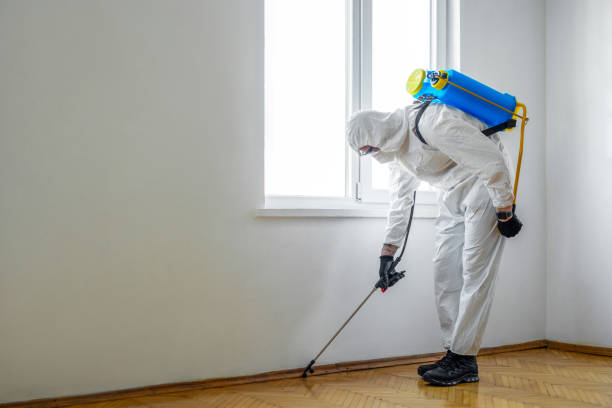 Best Pest Control Near Me  in Parsons, WV