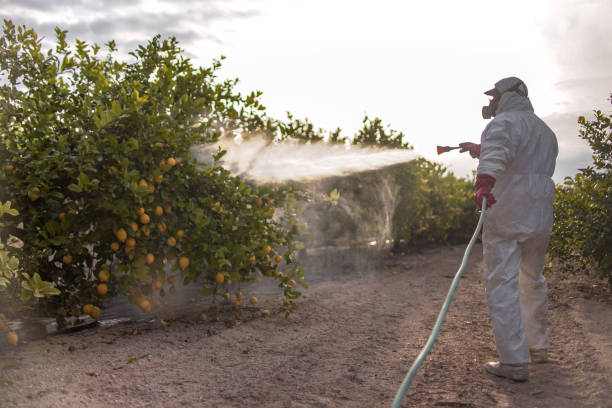 Best Pest Inspection Near Me  in Parsons, WV