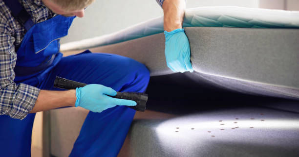 Best Cockroach Control Services  in Parsons, WV