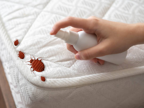 Pest Control Cost in Parsons, WV